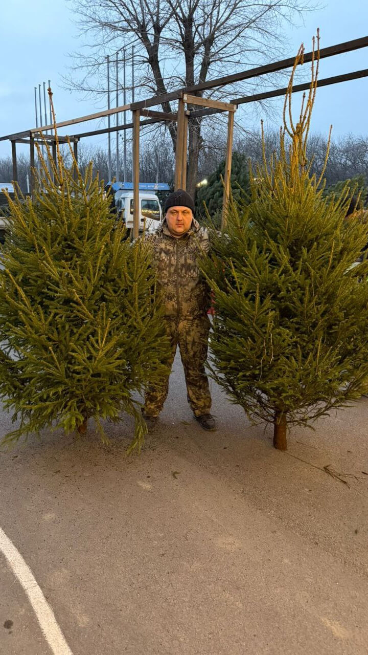 Новогодний ёлочный базар на стадионе СКА